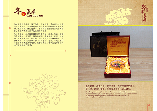 &#30343;&#20896;