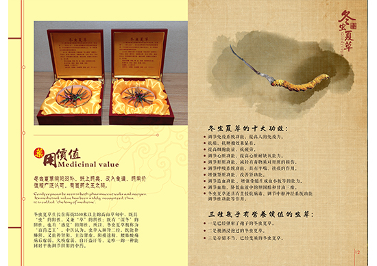 &#30343;&#20896;