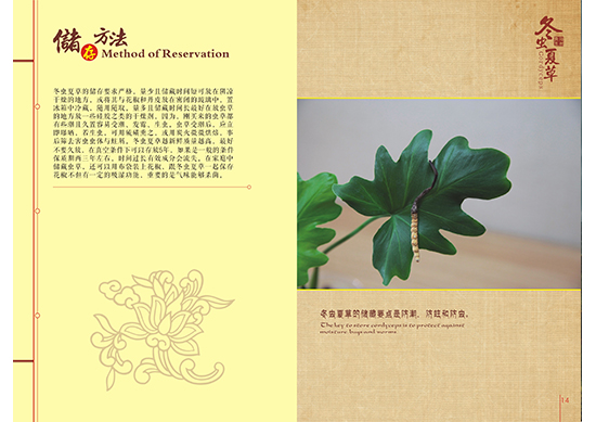 &#30343;&#20896;
