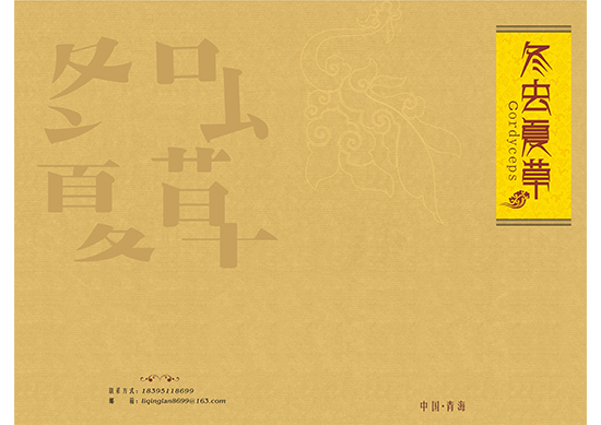 &#30343;&#20896;